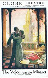 The Voice From The Minaret by Robert Hichins