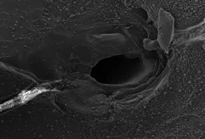 Volcanic glass, Peles hair