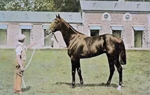 Whitney Gallery: Volodyovski, champion racehorse, with groom