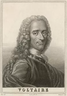 Voltaire Mehu Bonvoisin