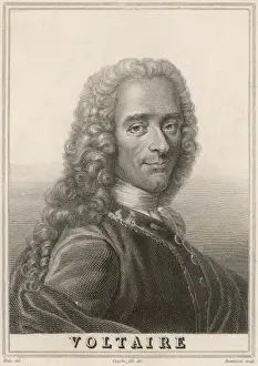 Voltaire Prints: Voltaire Mehu Bonvoisin