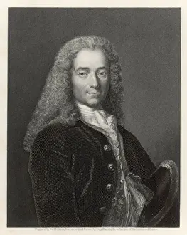 Mollison Prints: Voltaire Mollison