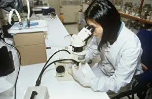 Analysis Prints: Volunteer working at the Natural History Museum, London