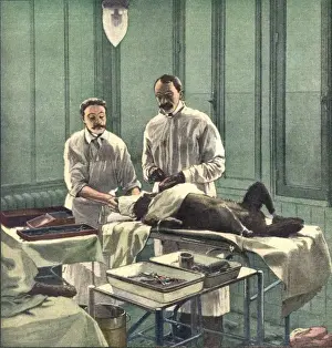 Surgical Prints: Voronof - Rejuvenation