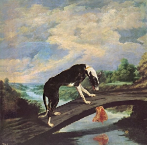 Fable Collection: VOS, Paul de (1596-1678)