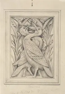 Alfred Waterhouse Prints: Vulpes vulgaris, fox and cormorant designs