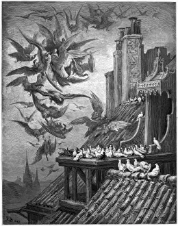 Talon Prints: The Vultures & Pigeons