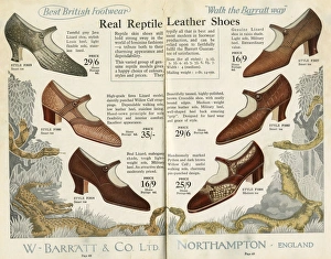 Images Dated 23rd December 2015: W Barratt & Co Ltd shoe catalogue, shoes