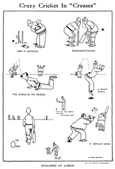 Cricket Match