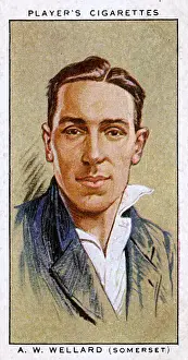 A W Wellard, Somerset County cricketer