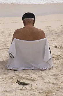 Unaware Collection: Wading bird and male tourist on beach, Hamilton, Bermuda