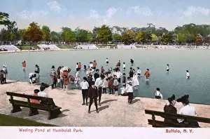 Wading Prints: Wading Pond, Humboldt Park, New York State, USA