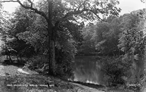 Calm Prints: Waggeners Wells, Middle Lake