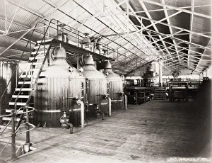 Sugar Prints: Waianae Sugar Company - processing mill, Hawaii