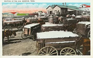 Memphis Collection: Waiting at the Cotton Gin - Memphis, Tennessee
