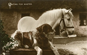 Await Gallery: Waiting For Master