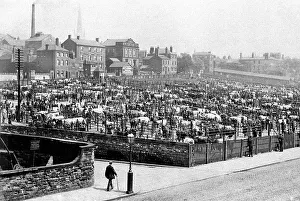 Wakefield - Cattle Market