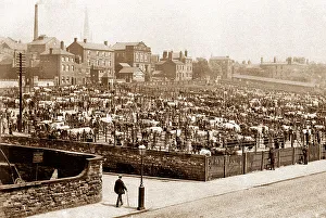 Cattle Prints: Wakefield - Cattle Market