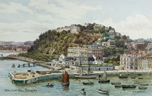 Waldon Prints: Waldon Hill, Torquay, South Devon