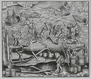Moyen Age Prints: Wale fishing. Facsimile after a woodcut from La