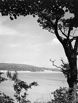 Peninsula Collection: Wales / Oxwich Bay