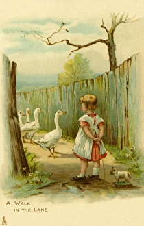 Jackson Gallery: A walk in the lane
