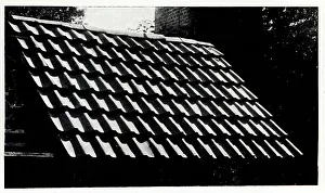 Unattributed Prints: Walker Benson Advertisement