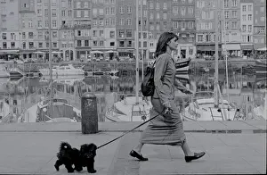 Walking the dog