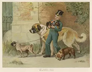Walking the Dogs