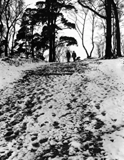 Walking in the Snow
