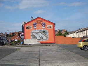 Images Dated 27th July 2011: Wall mural of Freedom 2000 at Belfast