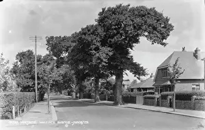 Worthing Prints: Wallace Avenue, Worthing