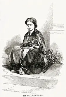 WALLFLOWER GIRL 1850