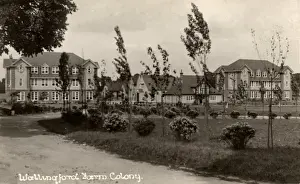 Wallingford Farm Colony