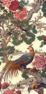 Images Dated 3rd September 2012: Wallpaper design depicting exotic birds on branch