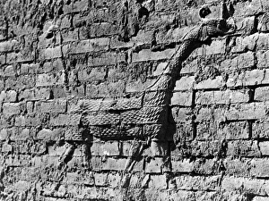 Images Dated 14th September 2011: Walls of Babylon