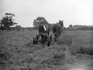 Waltham Prints: Waltham Abbey Haymaking
