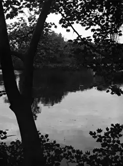 Wandsworth Common