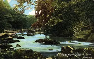 Morpeth Prints: The Wansbeck - Bothal Woods, Morpeth, Northumberland