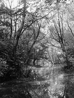 Wanstead Lake