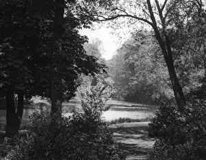 Wanstead Prints: Wanstead Lake