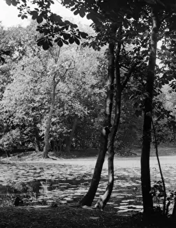 Wanstead Lake