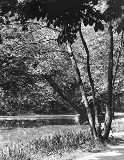 Wanstead Lake