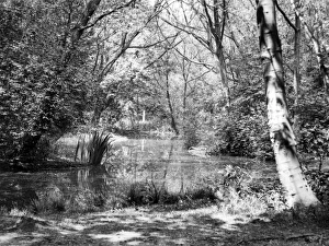 Images Dated 18th March 2011: Wanstead Lake