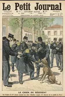 War Dog Promoted