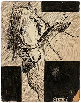WWI Animals Gallery: War Horse - illustration on postcard by George Ranstead