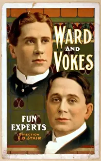 Experts Prints: Ward and Vokes fun experts