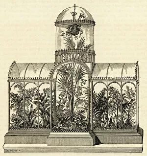 1850s Collection: Wardian case with plants