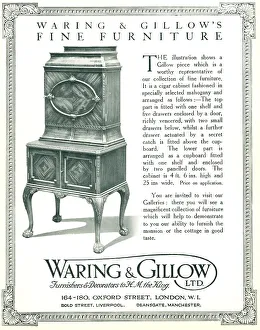 Waring and Gillow Advertisement