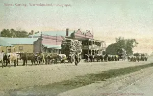 Agriculture Prints: Warracknabeal, Australia